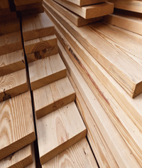 Pino Chileno & Argentino